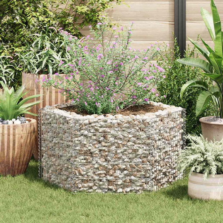 Hexagonal Planteringsgabion Upphöjd