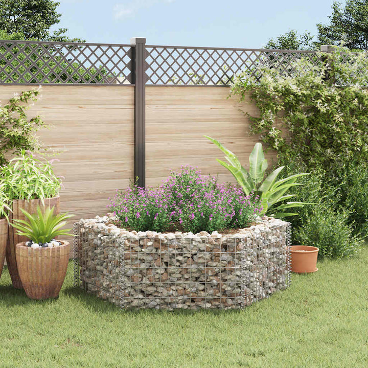 Hexagonal Planteringsgabion Upphöjd