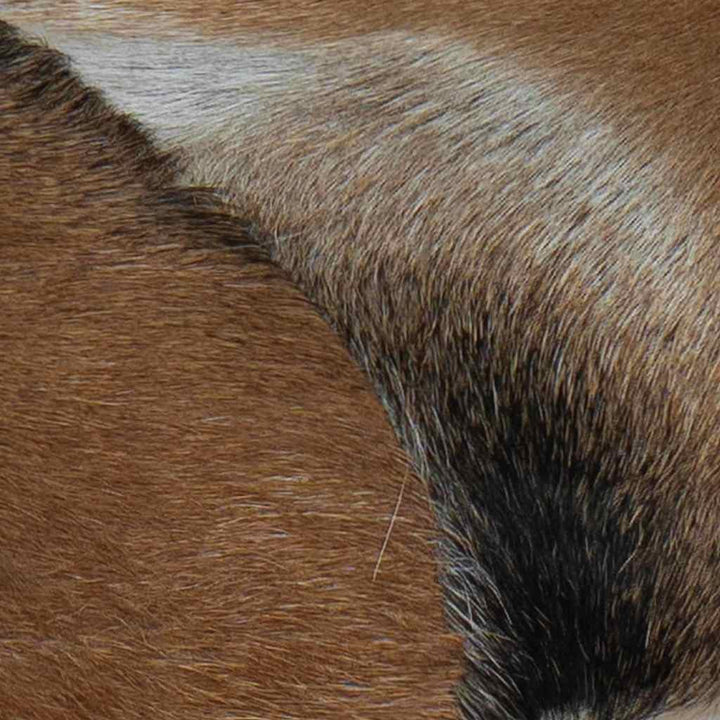 Bänk Getskinnsläder Teak