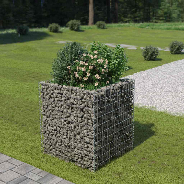 Planteringsgabion Upphöjd Galvaniserat Stål