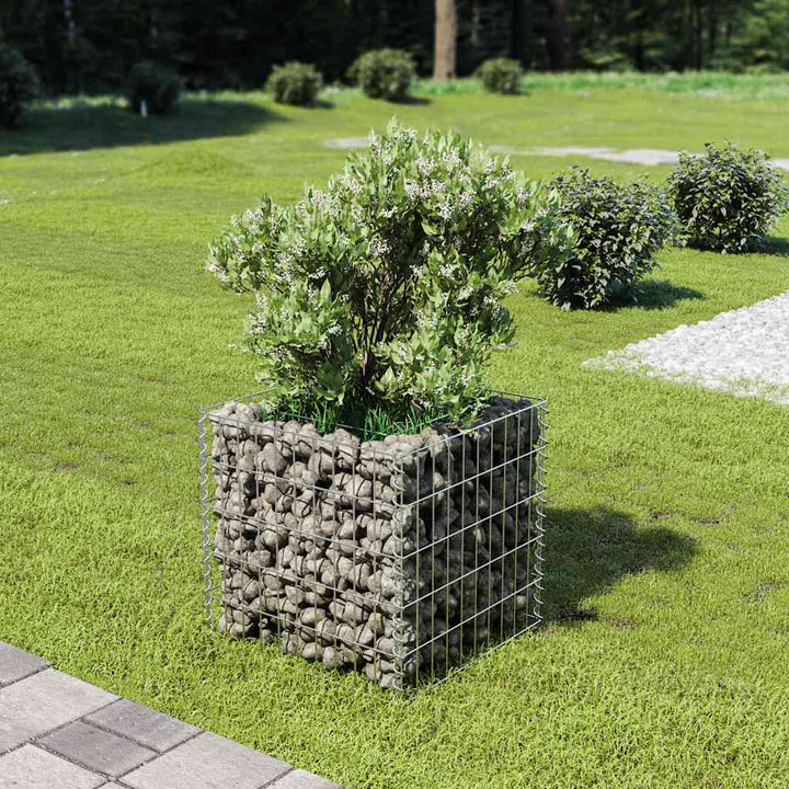 Planteringsgabion Upphöjd Galvaniserat Stål