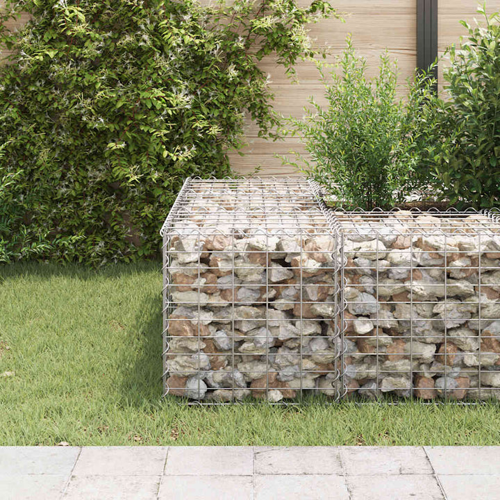 Planteringsgabion Upphöjd Stål
