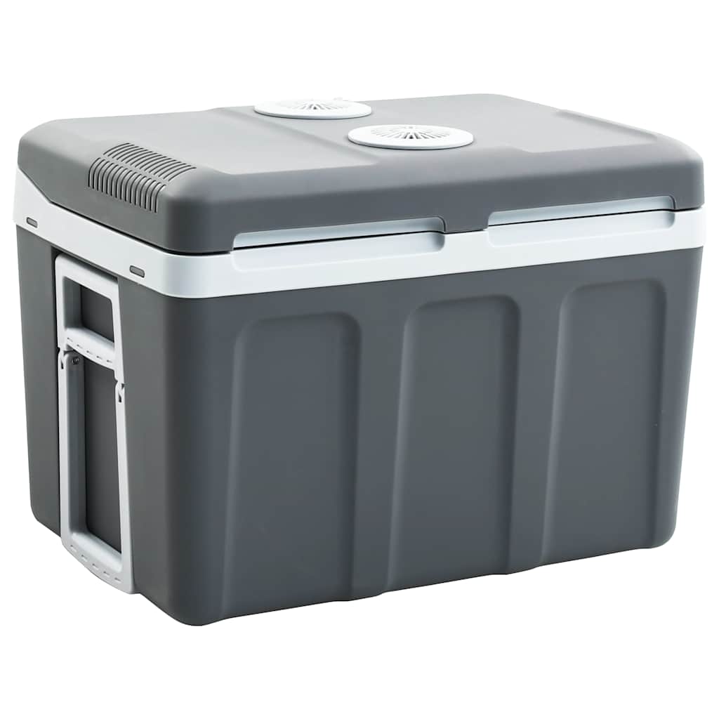 Portabel Termoelektrisk Kylbox 12 V 230 V E