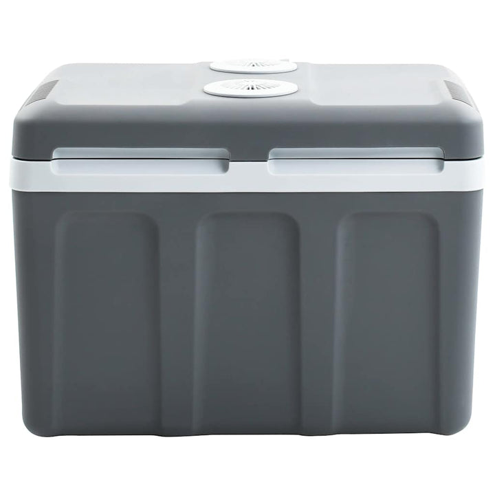 Portabel Termoelektrisk Kylbox 12 V 230 V E