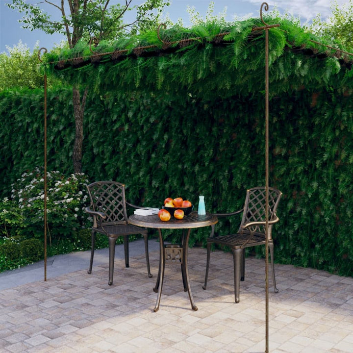 Pergola Antikbrun 4X3X2,5 M Järn