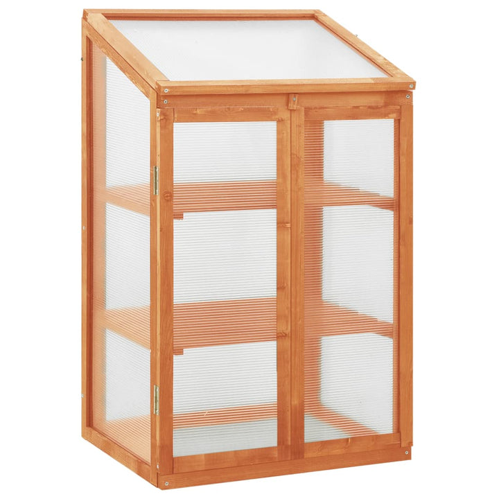 Växthus 60X45X100 Cm Granträ
