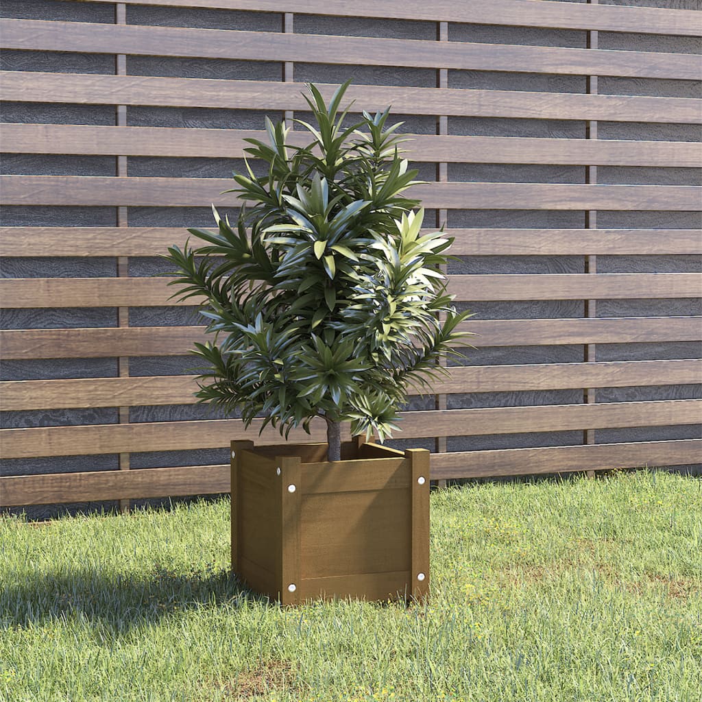 Odlingslåda 31X31X31 Cm Massiv Furu