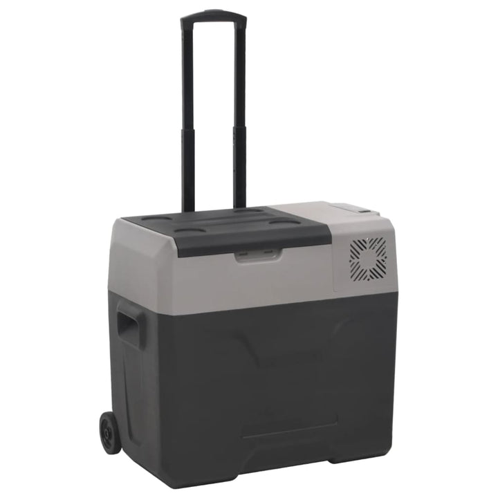 Kylbox Med Hjul Och Adapter Svart &amp; Grå Polypropylen