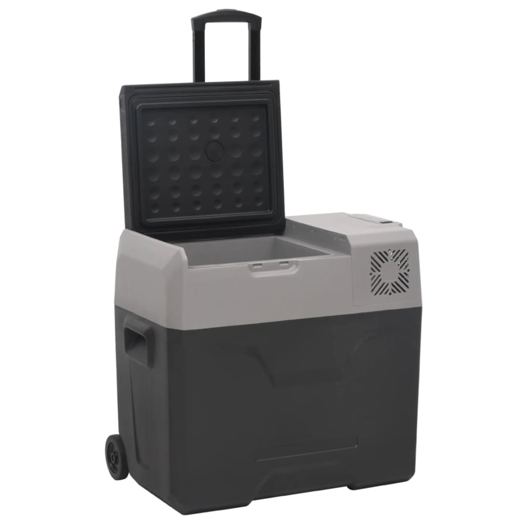 Kylbox Med Hjul Och Adapter Svart &amp; Grå Polypropylen