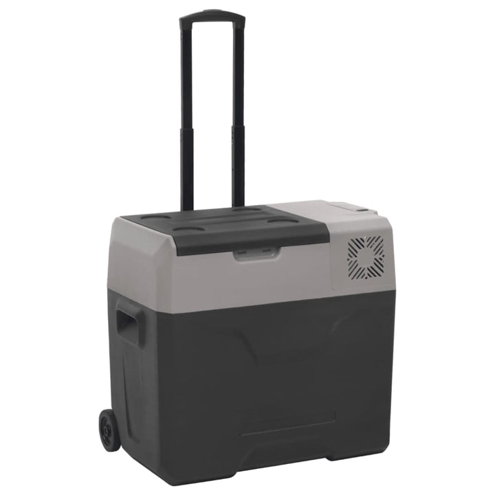Kylbox Med Hjul Och Adapter Svart &amp; Grå Polypropylen