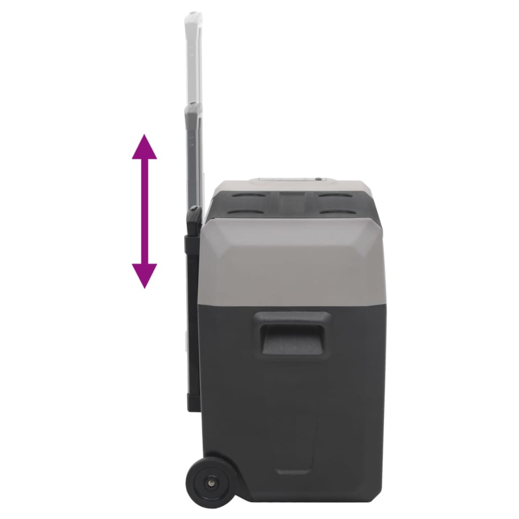 Kylbox Med Hjul Och Adapter Svart &amp; Grå Polypropylen