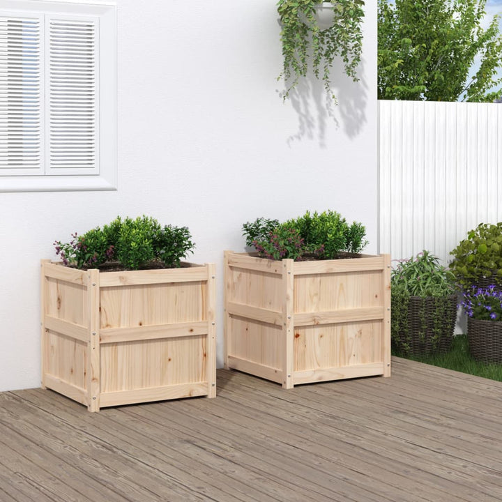 Odlingslåda 60X60X60 Cm Massiv Furu