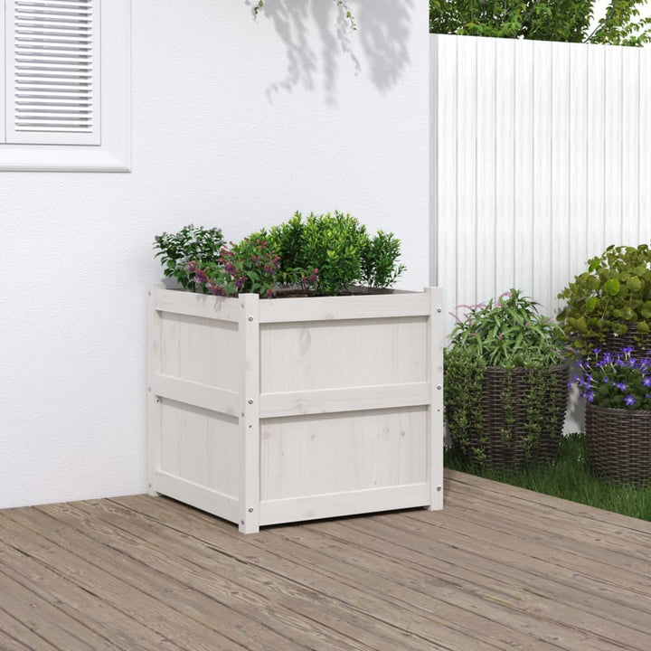 Odlingslåda 60X60X60 Cm Massiv Furu