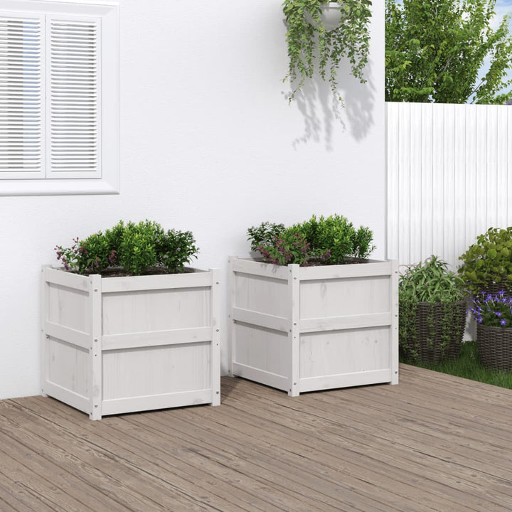 Odlingslåda 60X60X60 Cm Massiv Furu