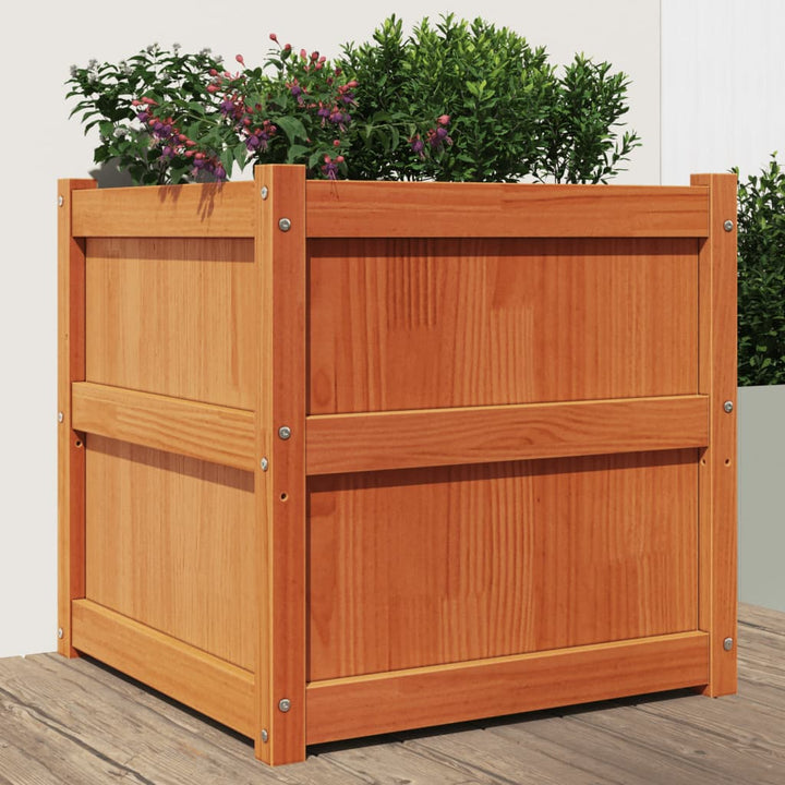 Odlingslåda 60X60X60 Cm Massiv Furu