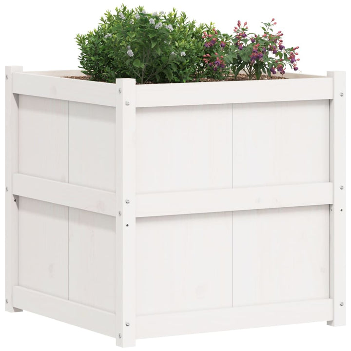 Odlingslåda 70X70X70 Cm Massiv Furu