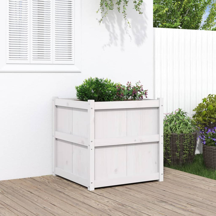 Odlingslåda 70X70X70 Cm Massiv Furu