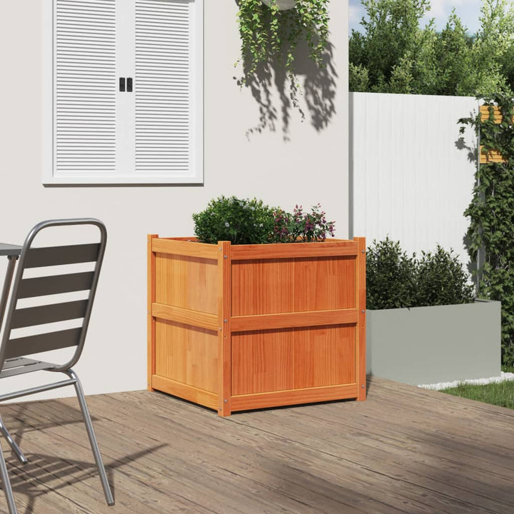 Odlingslåda Vax 70X70X70 Cm Massiv Furu