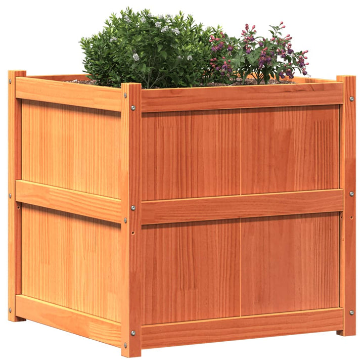 Odlingslåda Vax 70X70X70 Cm Massiv Furu