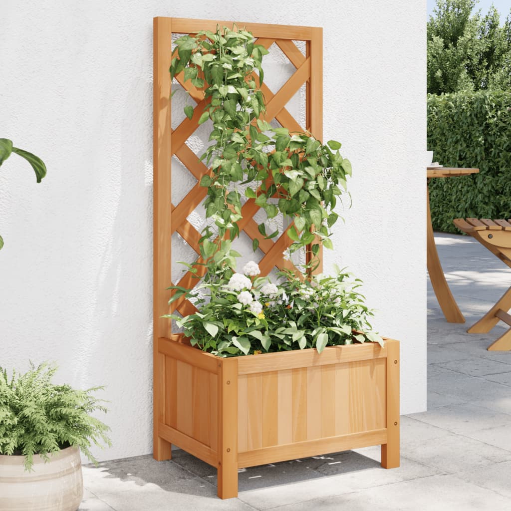 Blomlåda Med Spaljé