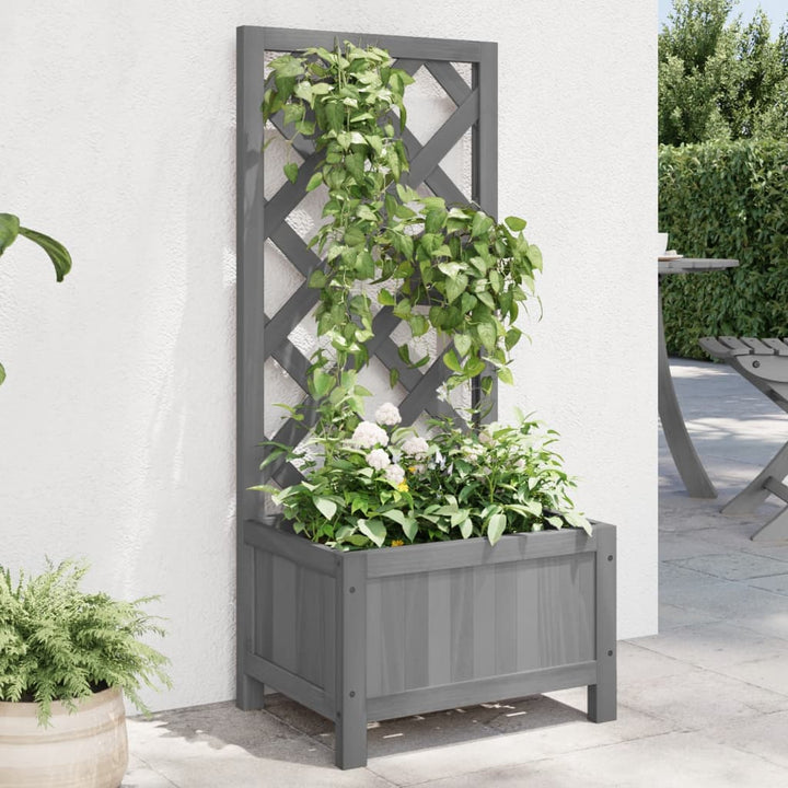 Blomlåda Med Spaljé