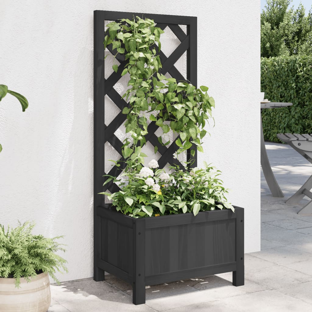 Blomlåda Med Spaljé