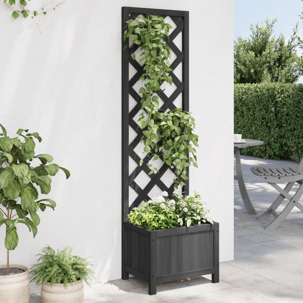 Blomlåda Med Spaljé