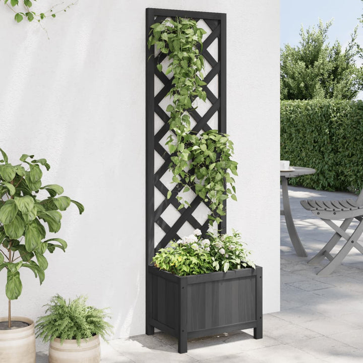Blomlåda Med Spaljé