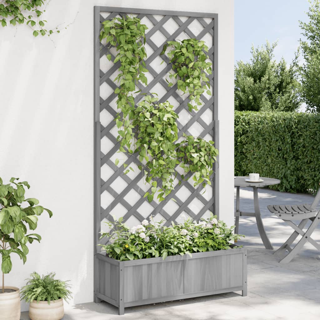 Blomlåda Med Spaljé
