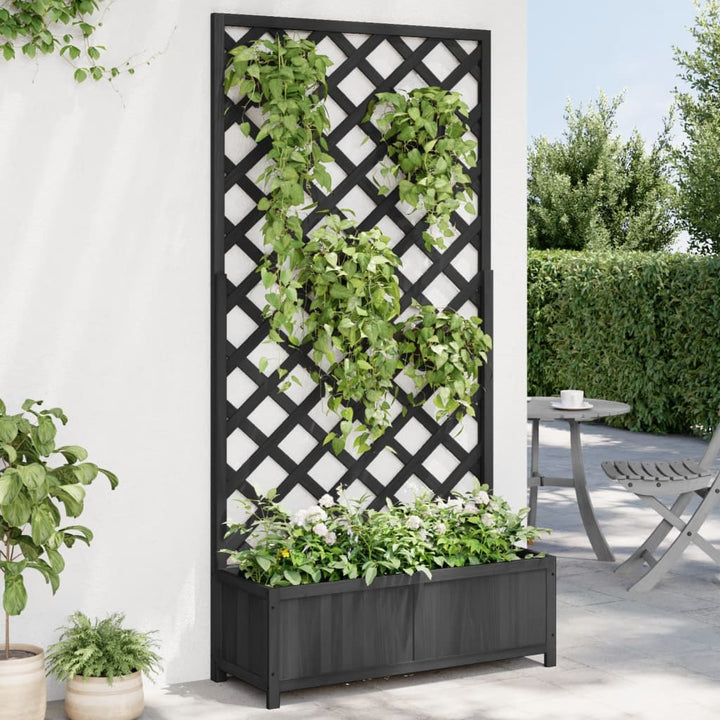 Blomlåda Med Spaljé