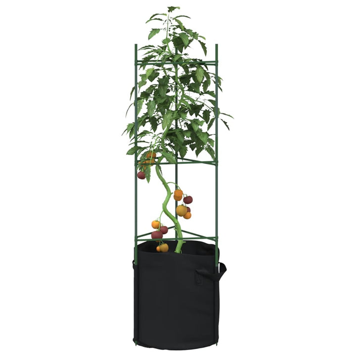 Tomatburar Med Växtpåsar 4 St Stål Och Pp