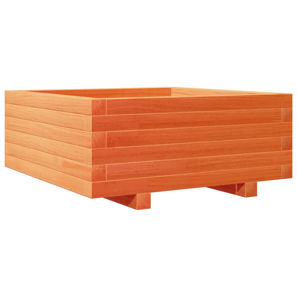 Odlingslåda Vaxbrun 60X60X26,5 Cm Massiv Furu