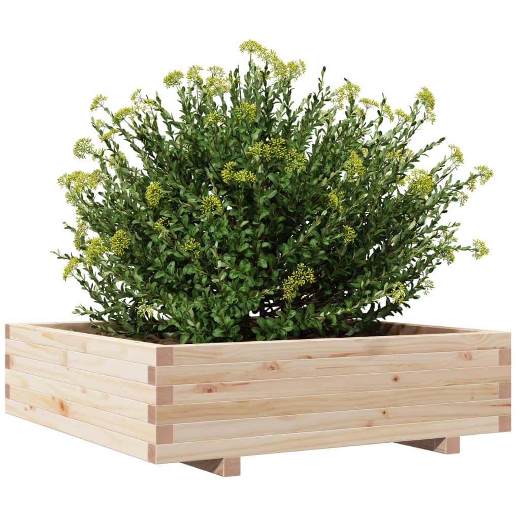 Odlingslåda 90X90X26,5 Cm Massivt Furuträ