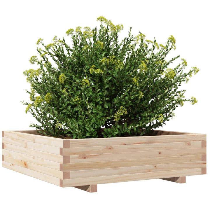 Odlingslåda 90X90X26,5 Cm Massivt Furuträ