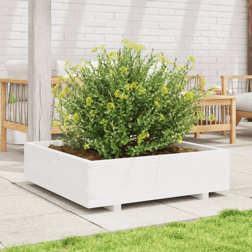 Odlingslåda 90X90X26,5 Cm Vit Massiv Furu