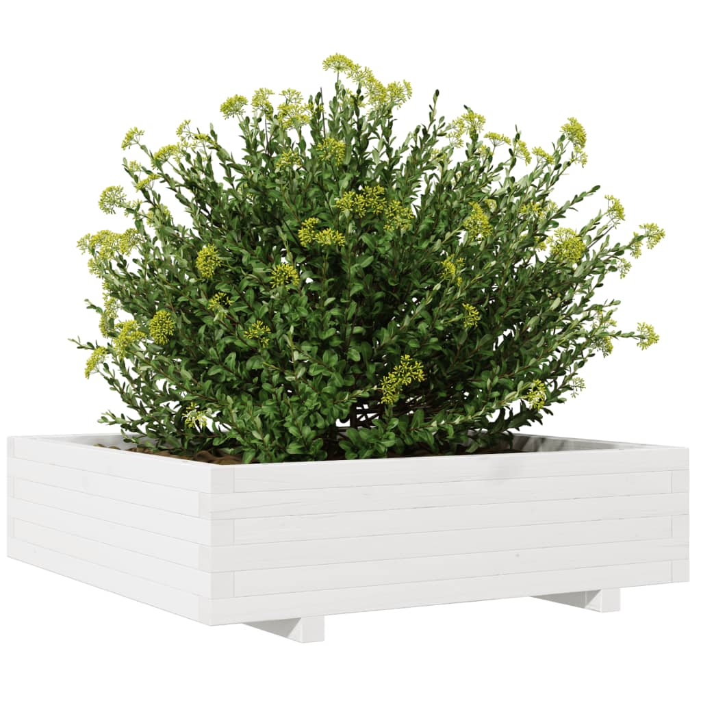 Odlingslåda 90X90X26,5 Cm Vit Massiv Furu