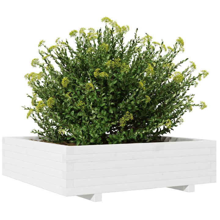 Odlingslåda 90X90X26,5 Cm Vit Massiv Furu