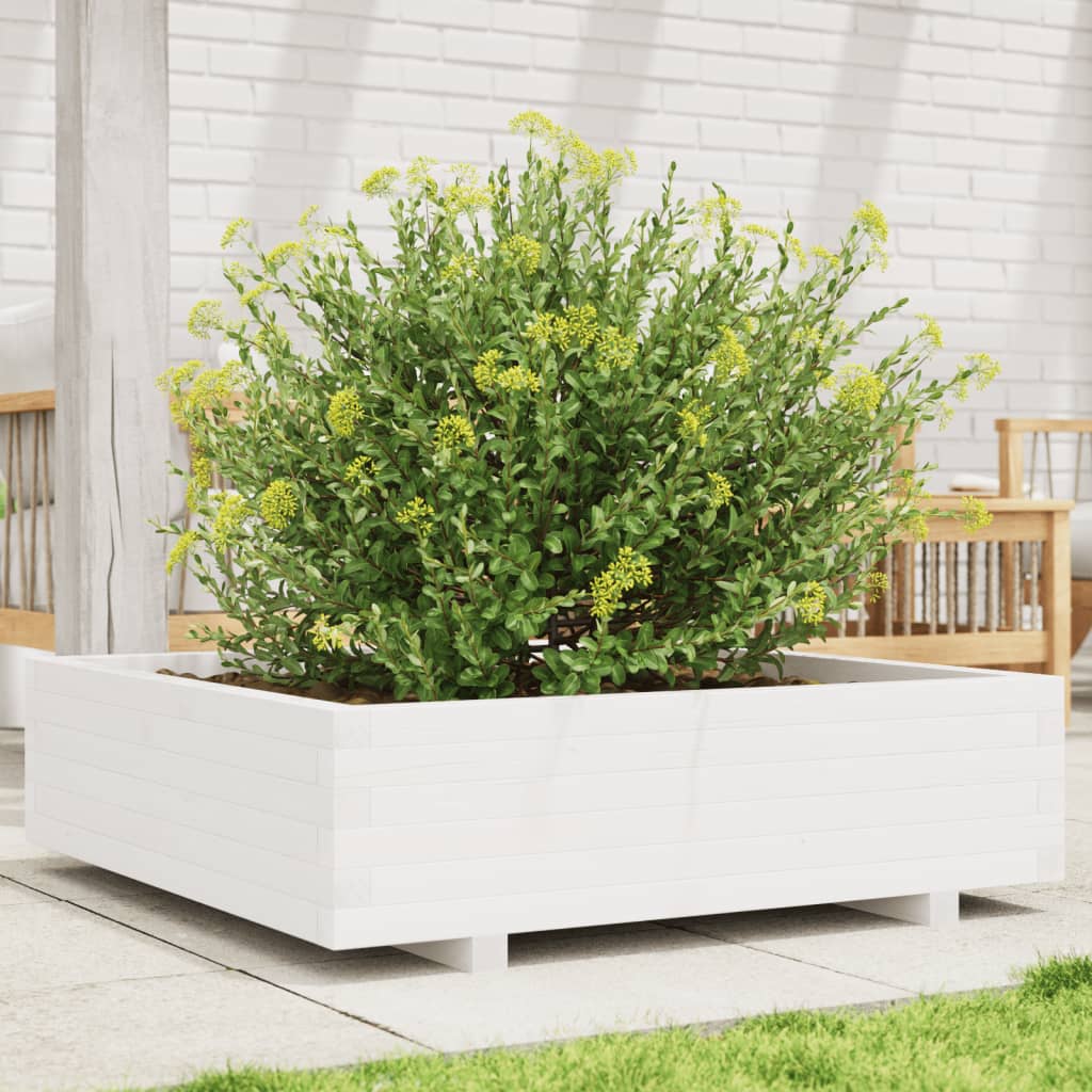 Odlingslåda 90X90X26,5 Cm Vit Massiv Furu