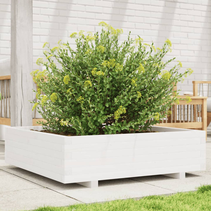 Odlingslåda 90X90X26,5 Cm Vit Massiv Furu
