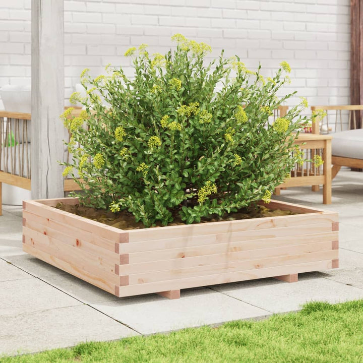 Odlingslåda 100X100X26,5 Cm Massivt Furuträ