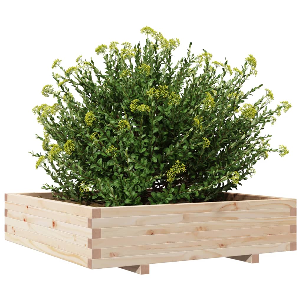 Odlingslåda 100X100X26,5 Cm Massivt Furuträ