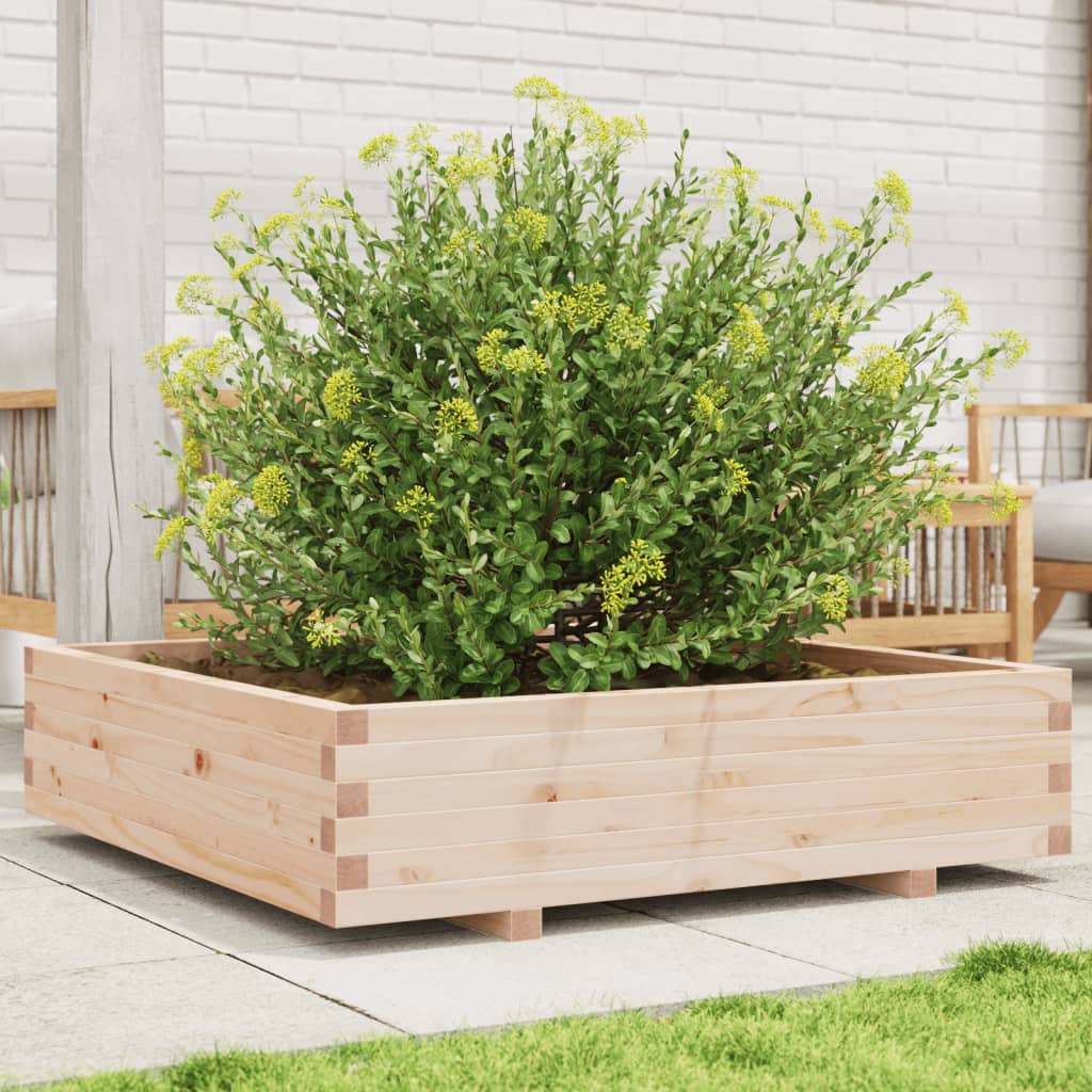 Odlingslåda 100X100X26,5 Cm Massivt Furuträ