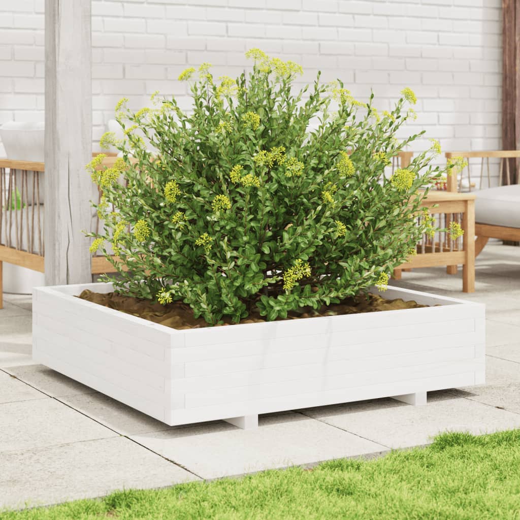 Odlingslåda Vit 100X100X26,5 Cm Massiv Furu