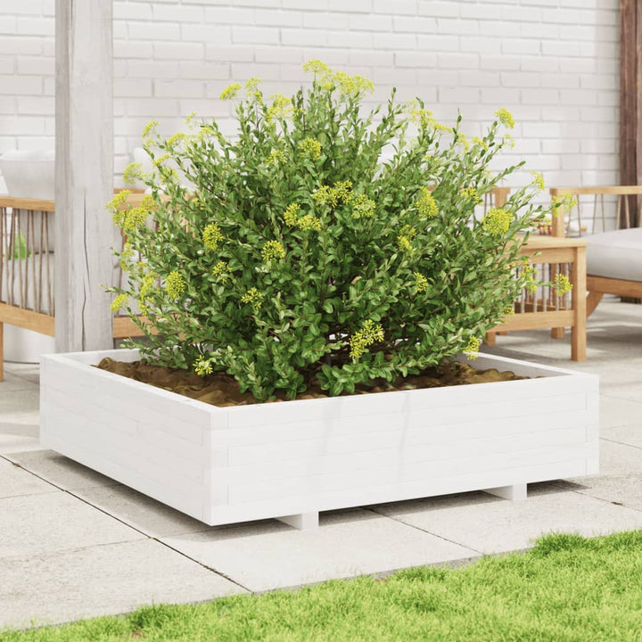 Odlingslåda Vit 100X100X26,5 Cm Massiv Furu