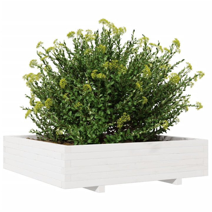Odlingslåda Vit 100X100X26,5 Cm Massiv Furu