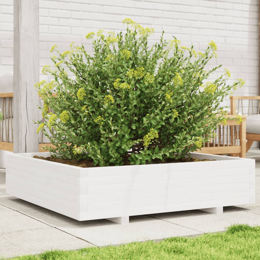 Odlingslåda Vit 100X100X26,5 Cm Massiv Furu