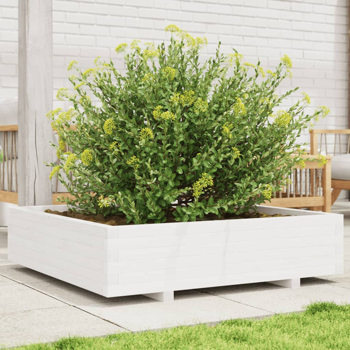 Odlingslåda Vit 100X100X26,5 Cm Massiv Furu