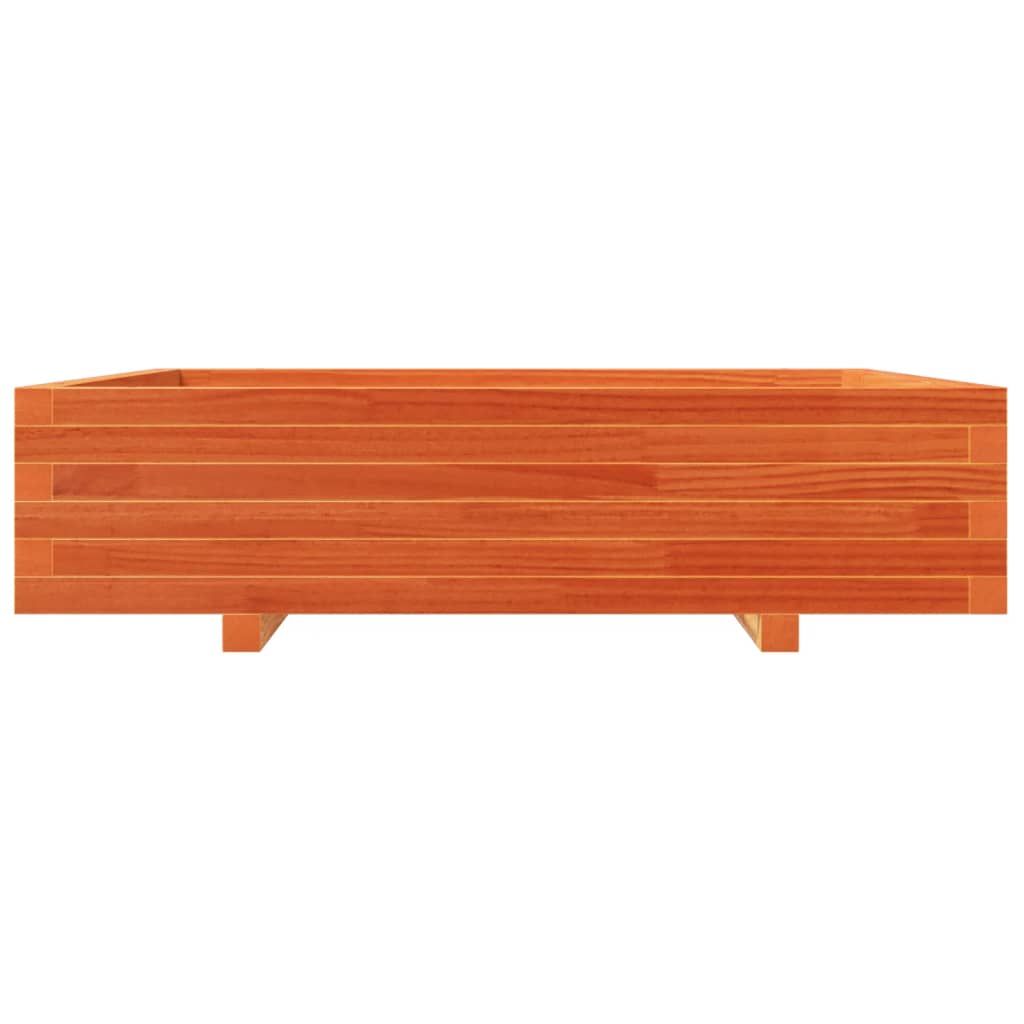 Odlingslåda Vaxbrun 100X100X26,5 Cm Massiv Furu