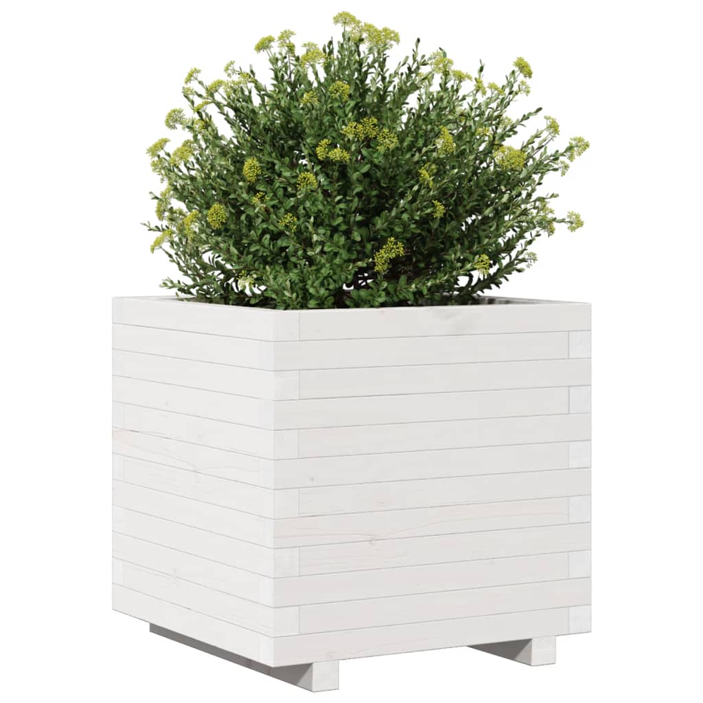 Odlingslåda Vit 50X50X49,5 Cm Massiv Furu