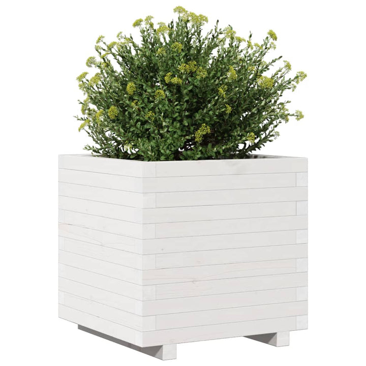 Odlingslåda Vit 50X50X49,5 Cm Massiv Furu